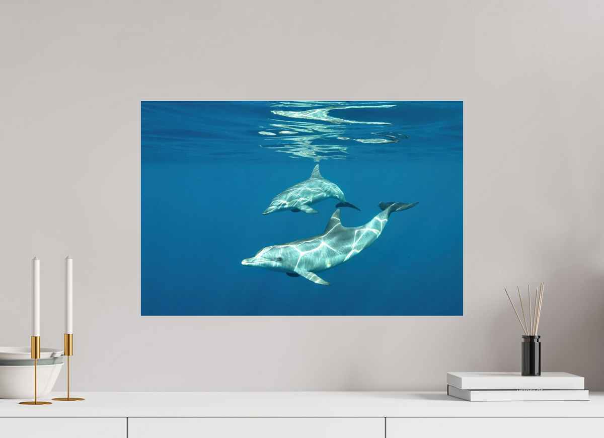 60 x 40 cm, Photo Print Under Acrylic Glass Presentation