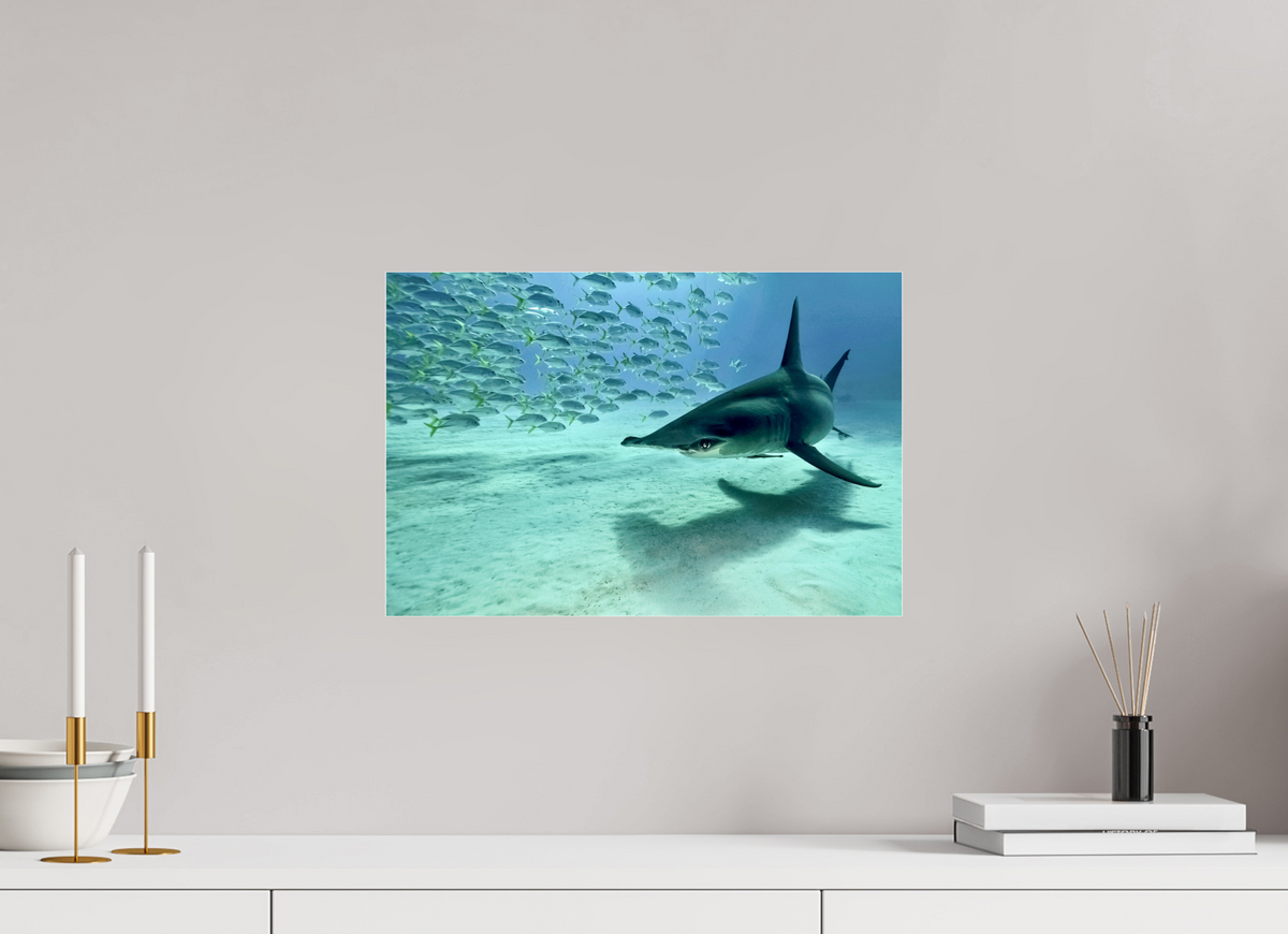 45 x 30 cm, Photo Print Under Acrylic Glass The Shadow
