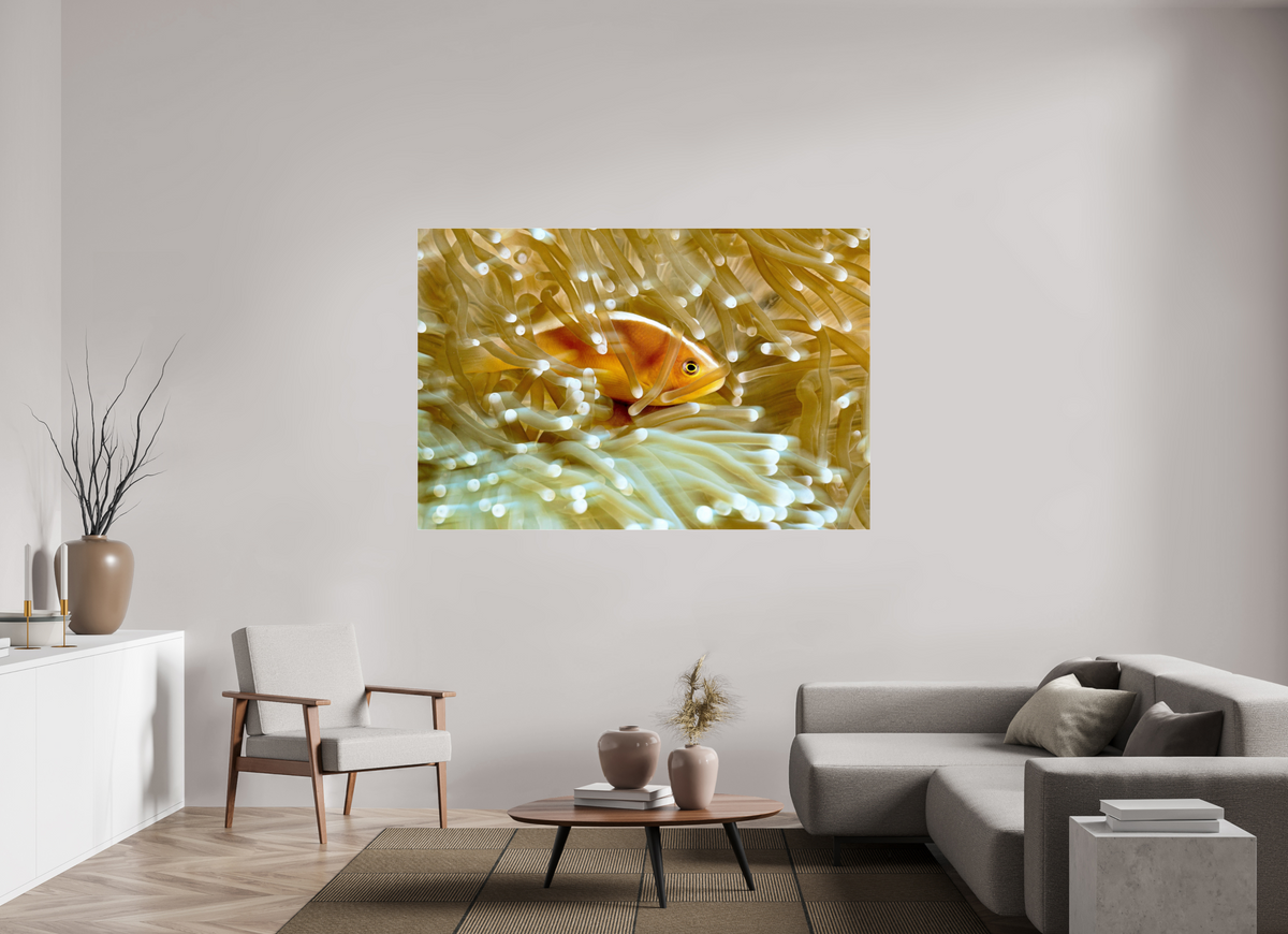 180 x 120 cm, Photo Print Under Acrylic Glass Home