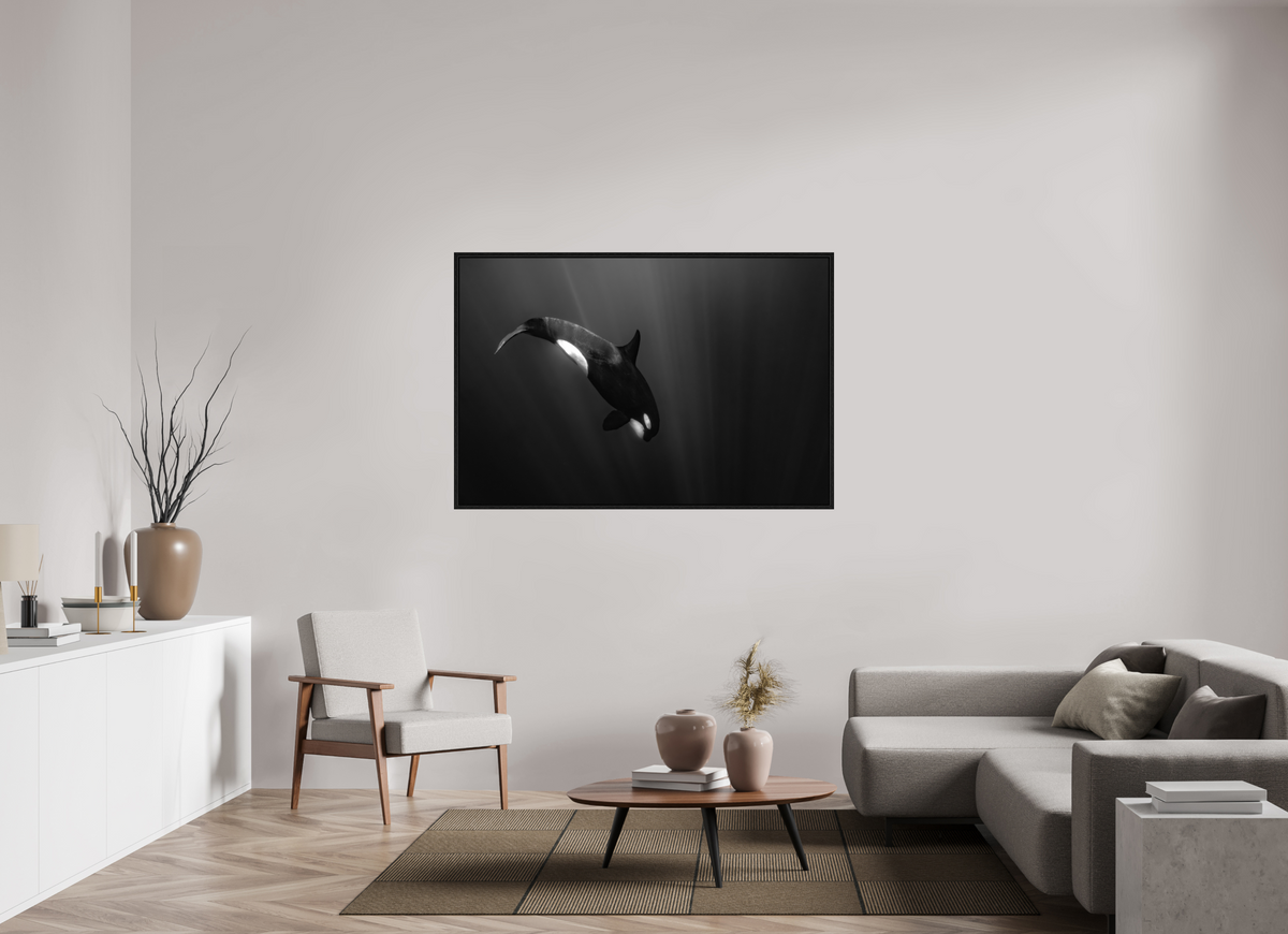 150 x 100 cm, Floater Frame My beautiful Darkness