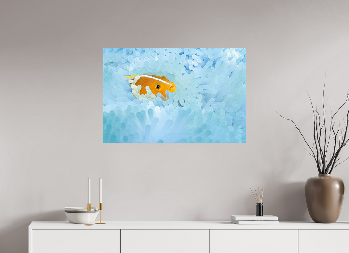 90 x 60 cm, Photo Print Under Acrylic Glass Bleaching