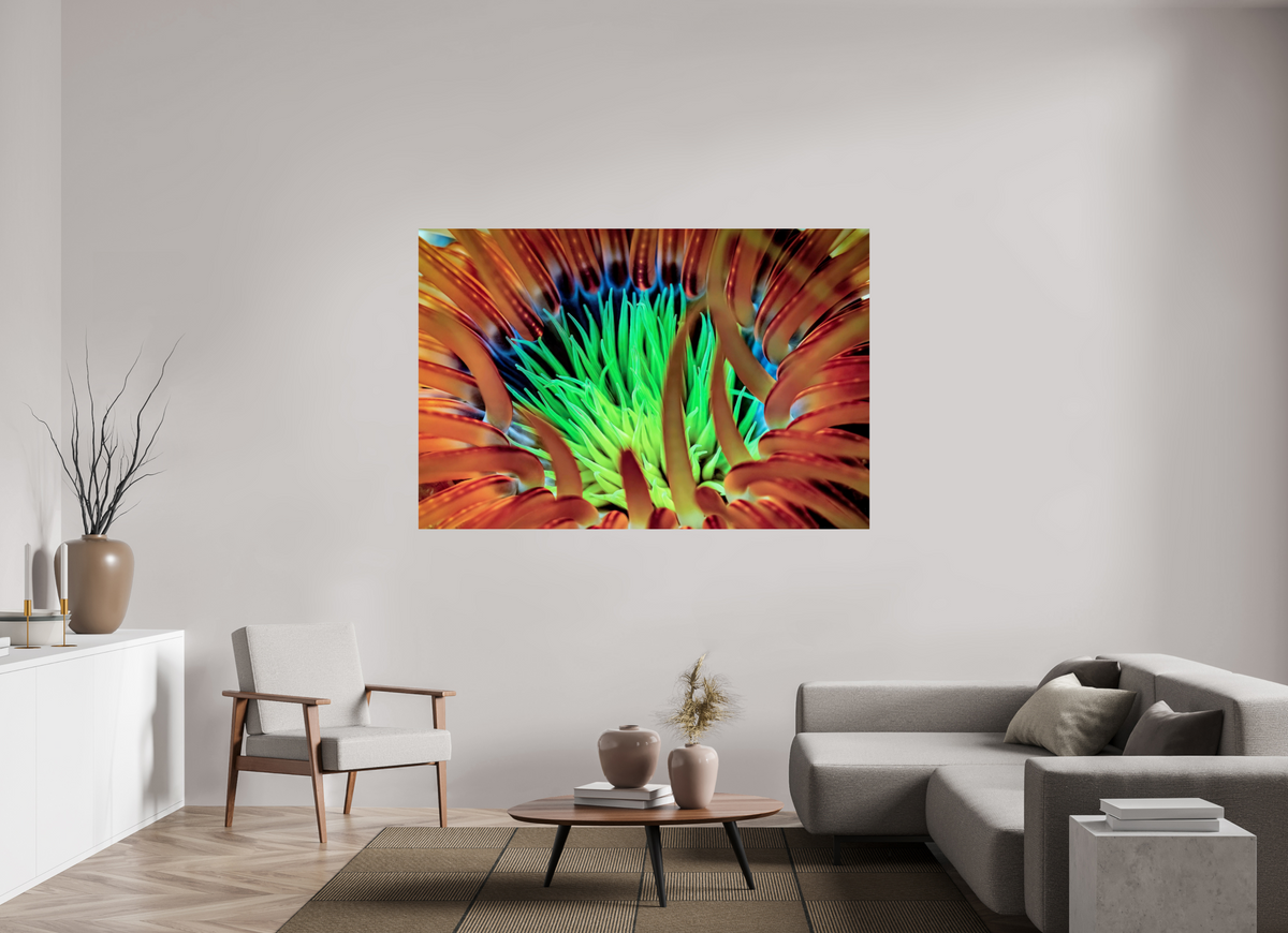 180 x 120 cm, Photo Print On Fuji Crystal DP II United colors