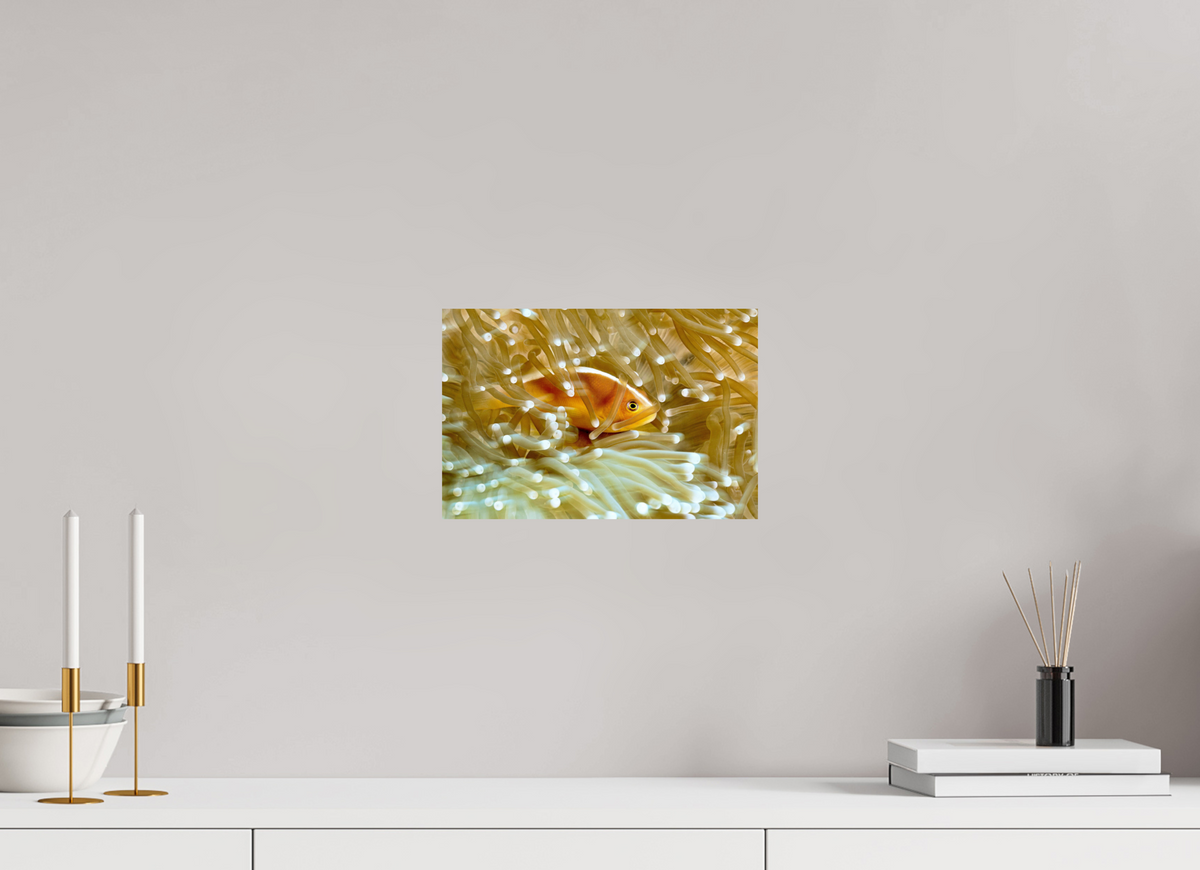 30 x 20 cm, Photo Print On Fuji Crystal DP II Home