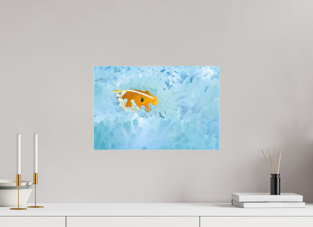 45 x 30 cm, Photo Print Under Acrylic Glass Bleaching
