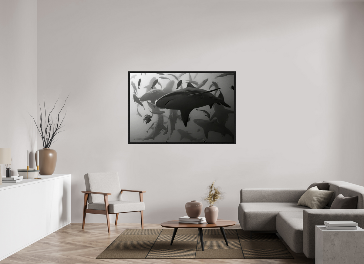 150 x 100 cm, Floater Frame Bullshark Dance