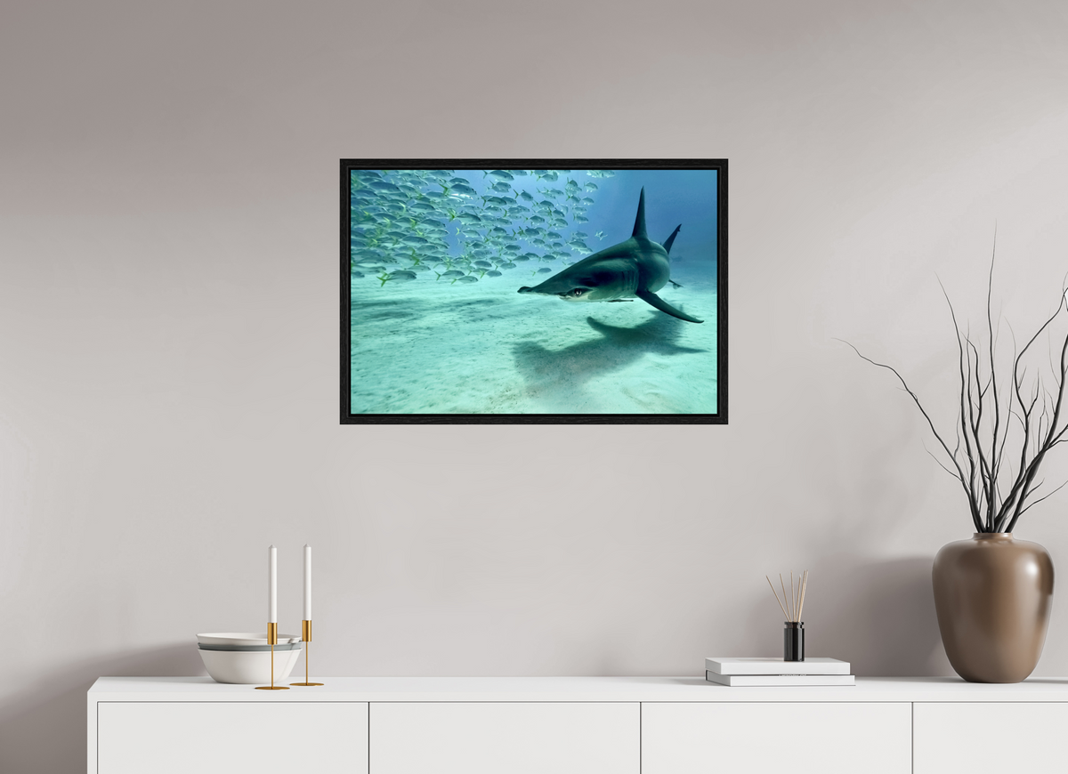 75 x 50 cm, Floater Frame The Shadow