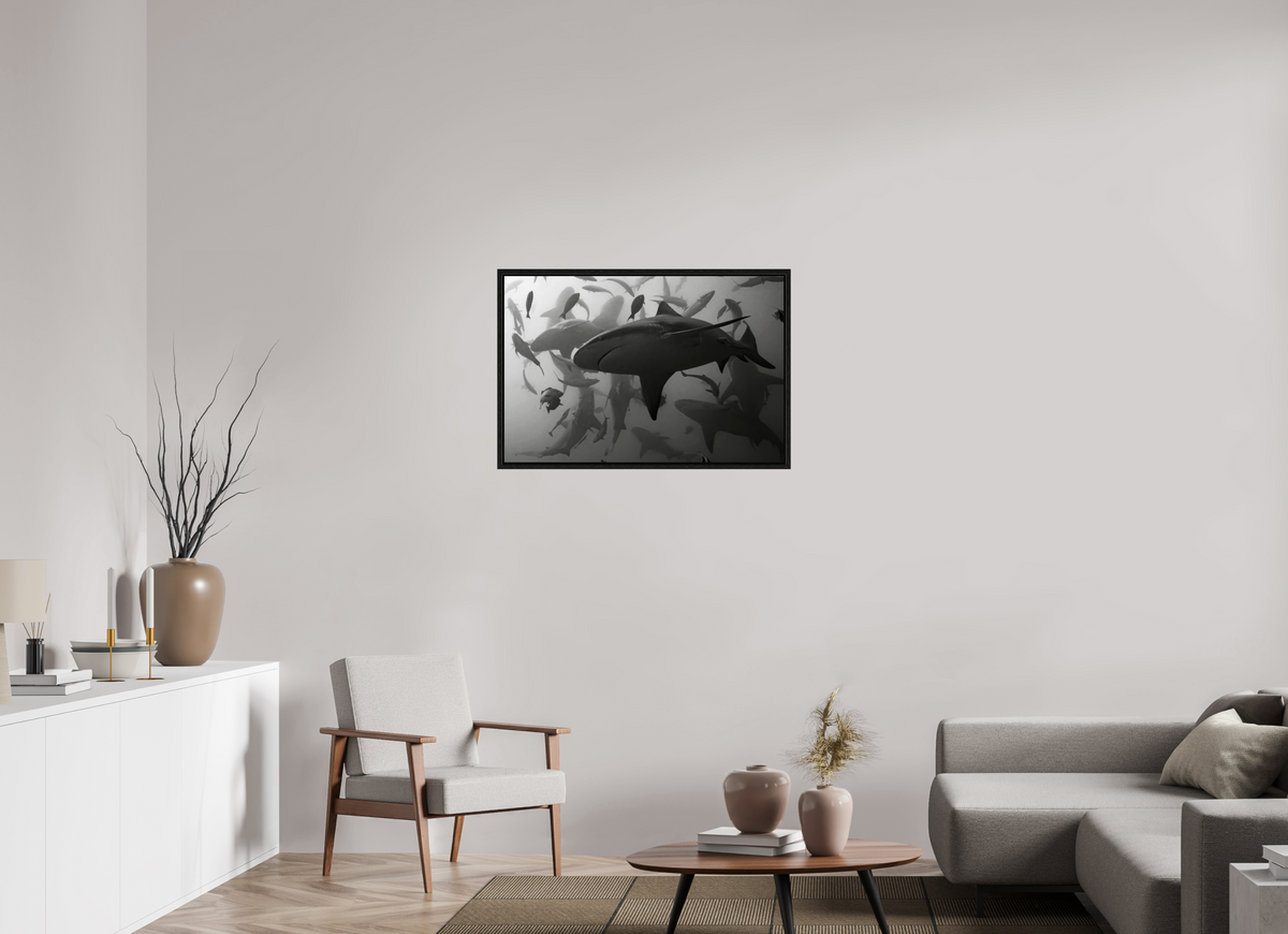 90 x 60 cm, Floater Frame Bullshark Dance