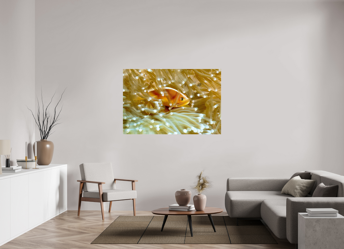 150 x 100 cm, Photo Print Under Acrylic Glass Home