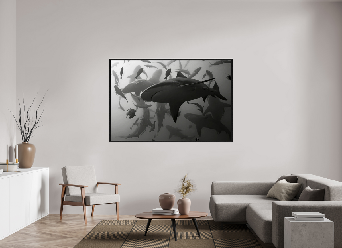 180 x 120 cm, Floater Frame Bullshark Dance