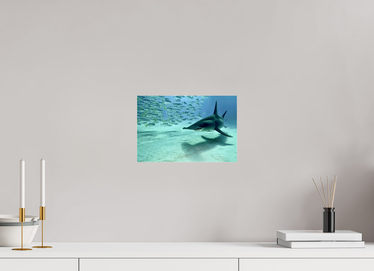 30 x 20 cm, Photo Print Under Acrylic Glass The Shadow