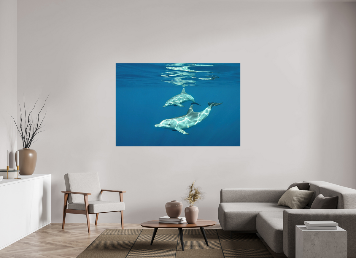 180 x 120 cm, Photo Print On Fuji Crystal DP II Presentation
