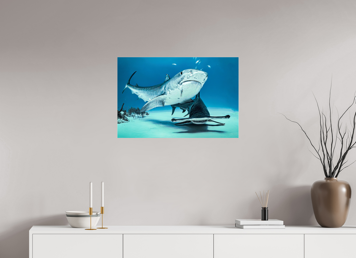 75 x 50 cm, Photo Print Under Acrylic Glass Two queens for a Kingdom
