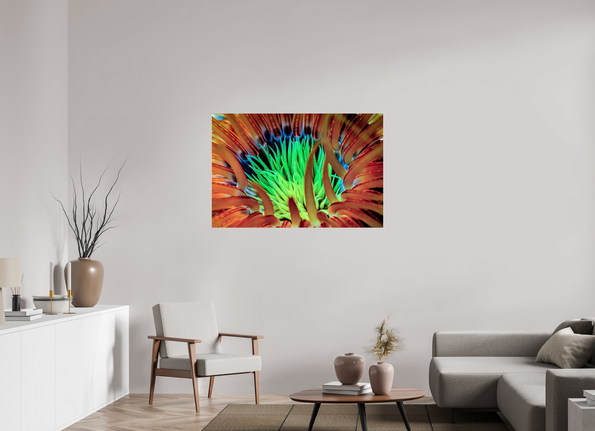 120 x 80 cm, Photo Print Under Acrylic Glass United colors