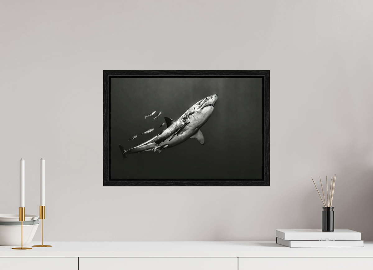 45 x 30 cm, Floater Frame The Great White
