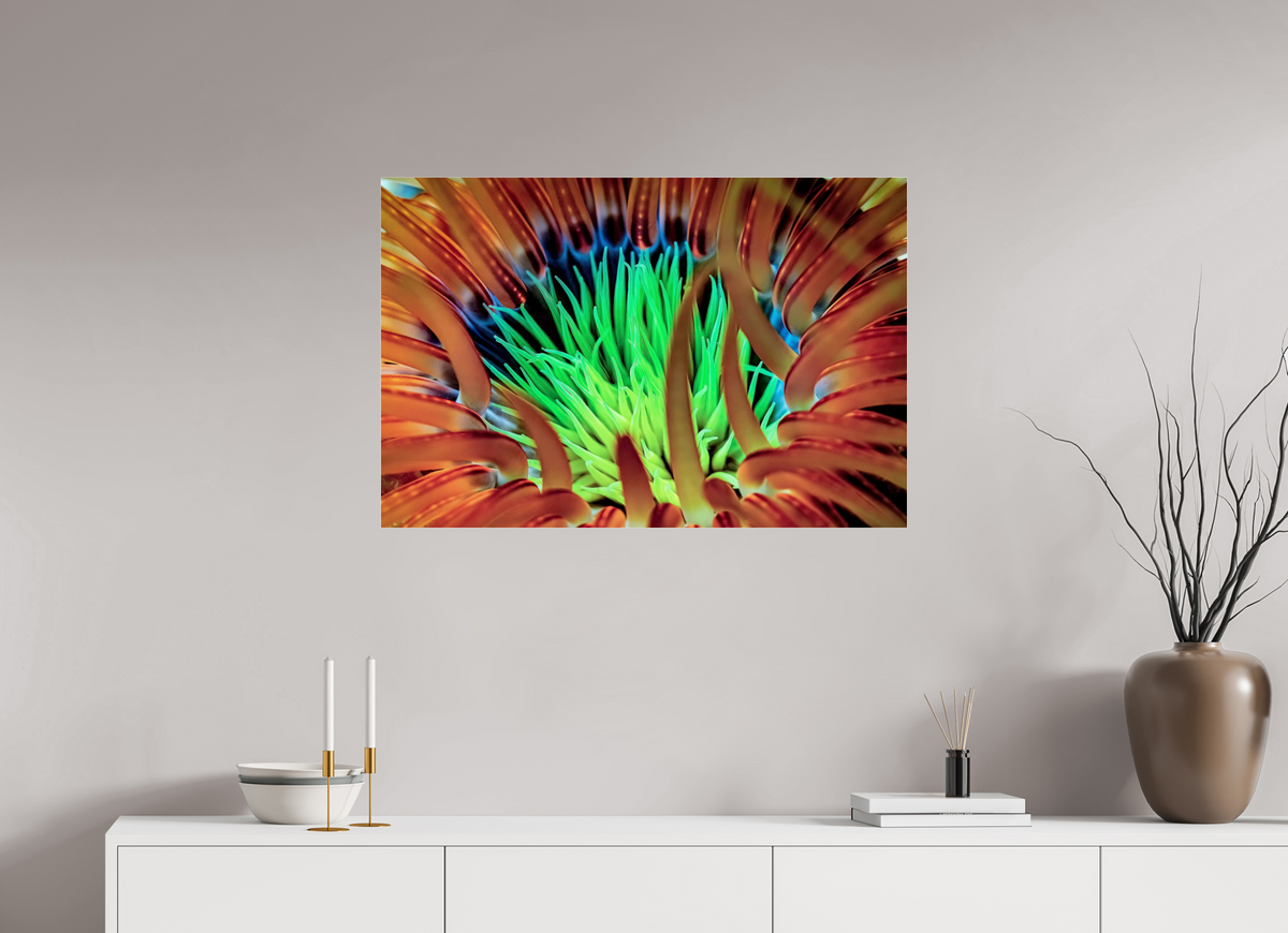 90 x 60 cm, Photo Print Under Acrylic Glass United colors