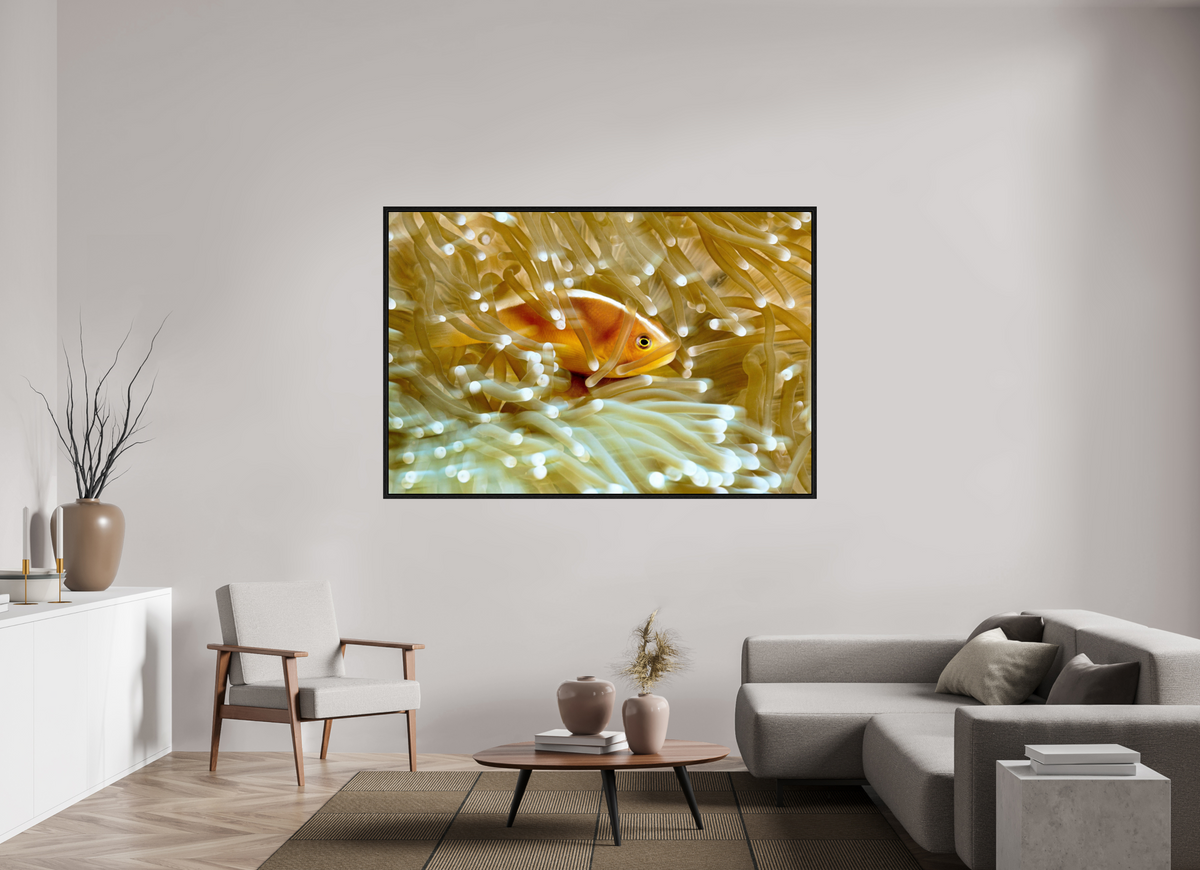 180 x 120 cm, Floater Frame Home