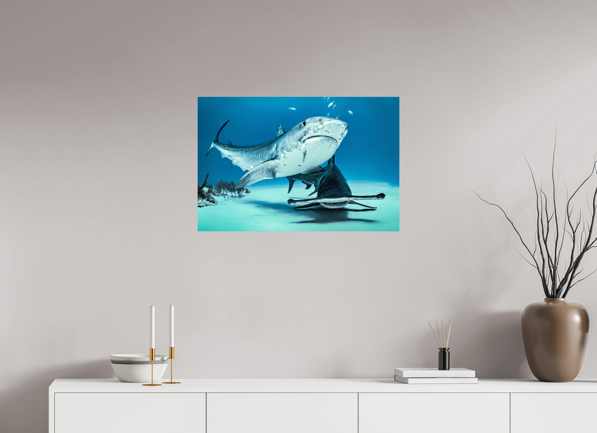75 x 50 cm, Photo Print On Fuji Crystal DP II Two queens for a Kingdom