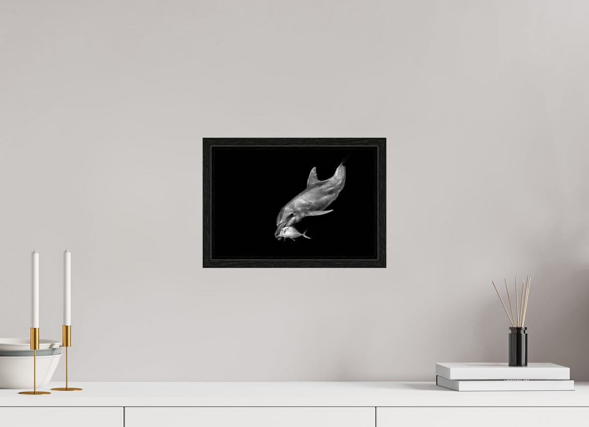 30 x 20 cm, Floater Frame Catch of the Day