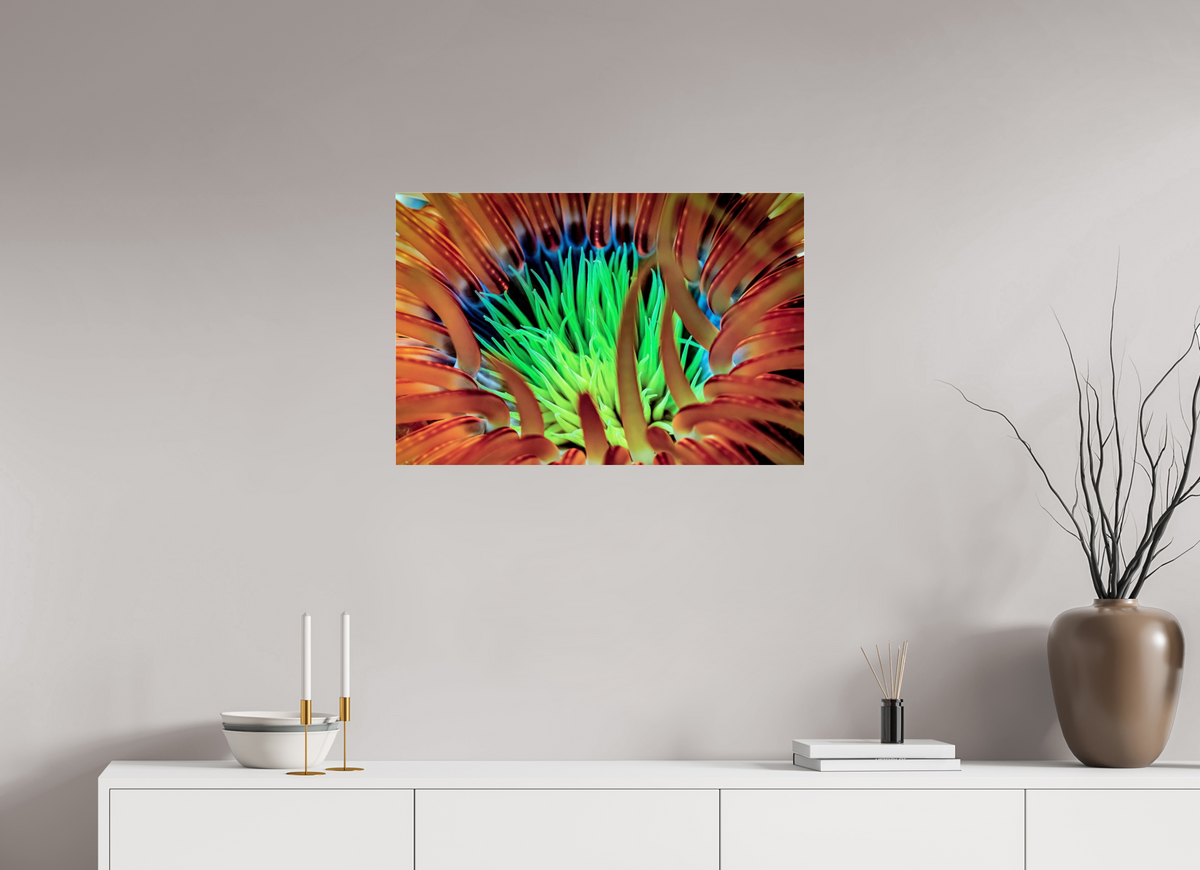 75 x 50 cm, Photo Print Under Acrylic Glass United colors
