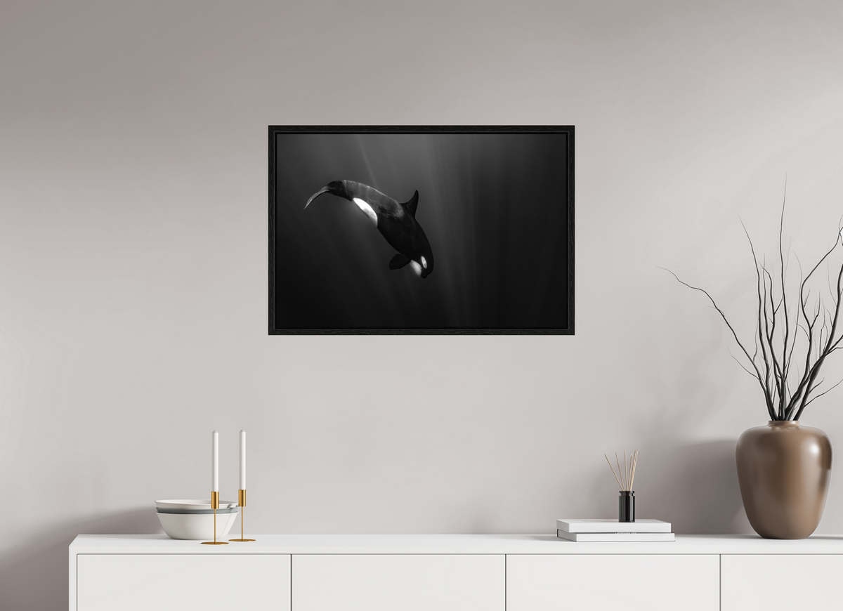 75 x 50 cm, Floater Frame My beautiful Darkness