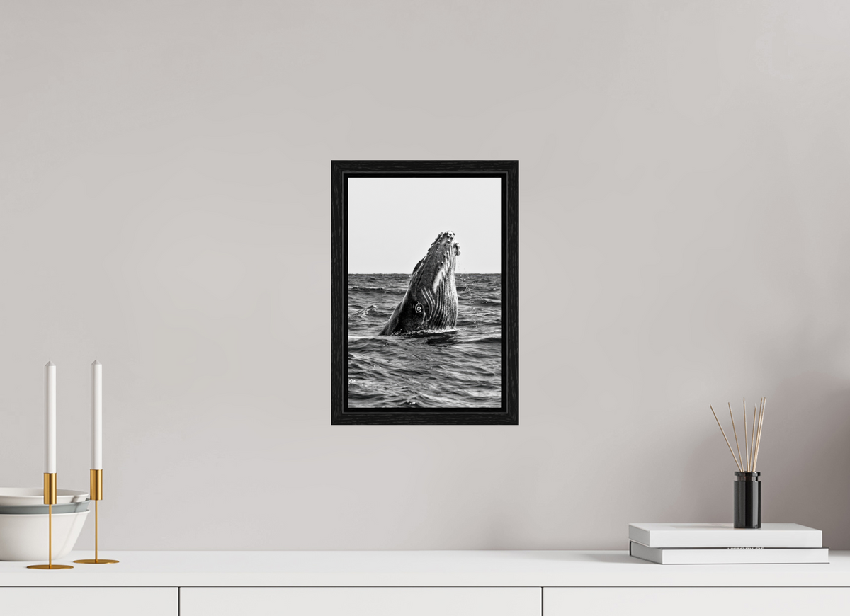 20 x 30 cm, Floater Frame ICU