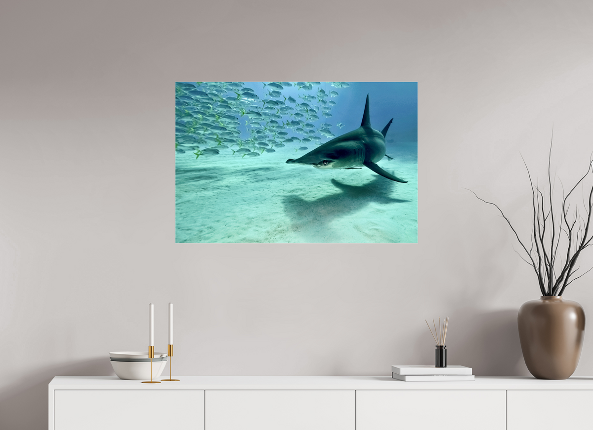 90 x 60 cm, Photo Print Under Acrylic Glass The Shadow