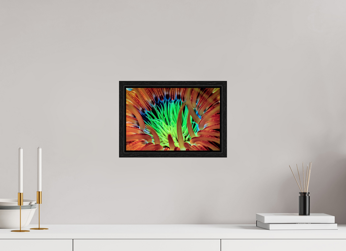 30 x 20 cm, Floater Frame United colors