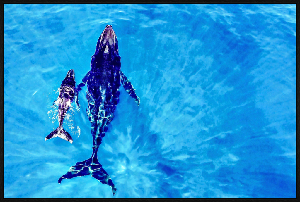 Main image A bond in blue