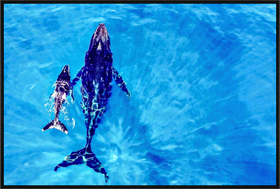 Main image A bond in blue