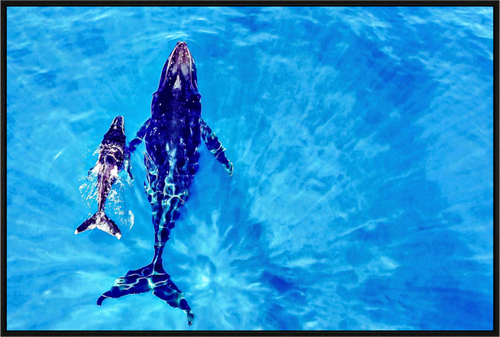 Main image A bond in blue