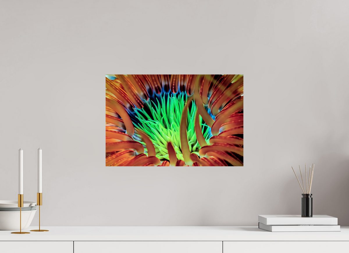 45 x 30 cm, Photo Print On Fuji Crystal DP II United colors