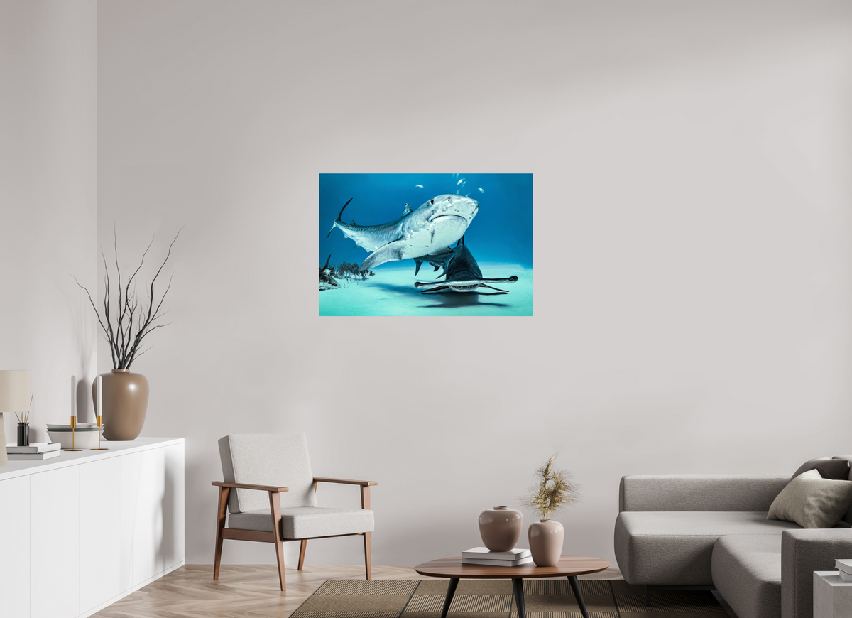 105 x 70 cm, Photo Print On Fuji Crystal DP II Two queens for a Kingdom