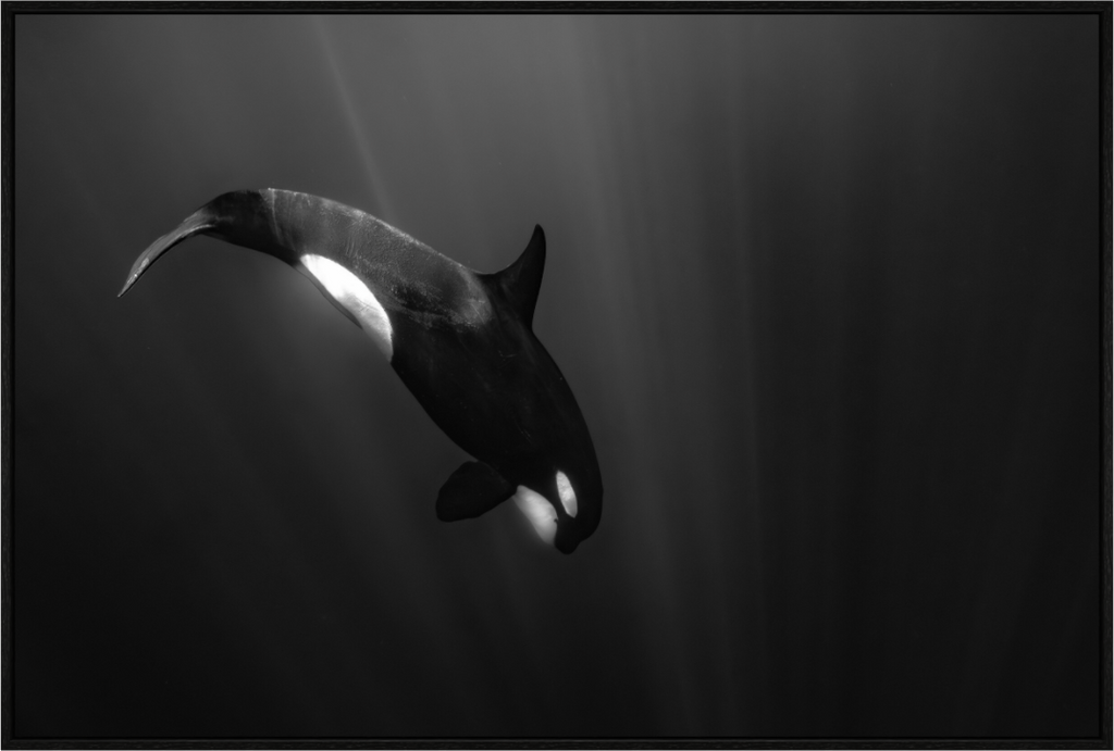 Main image My beautiful Darkness