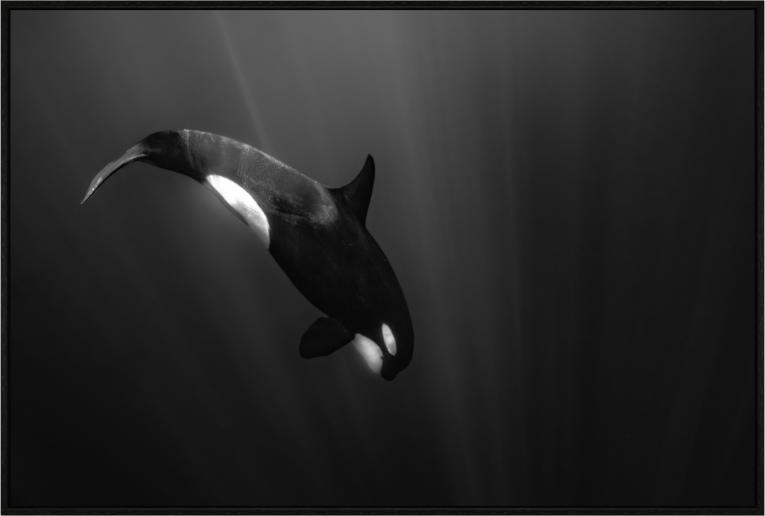 Main image My beautiful Darkness