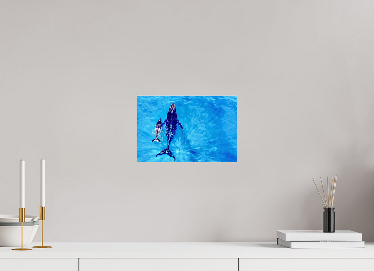 30 x 20 cm, Photo Print Under Acrylic Glass A bond in blue