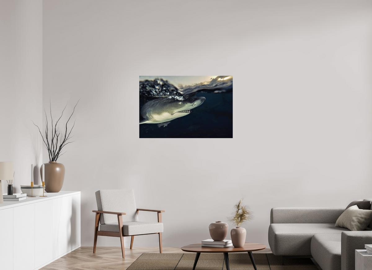 105 x 70 cm, Photo Print On Fuji Crystal DP II Bahamas Spirit