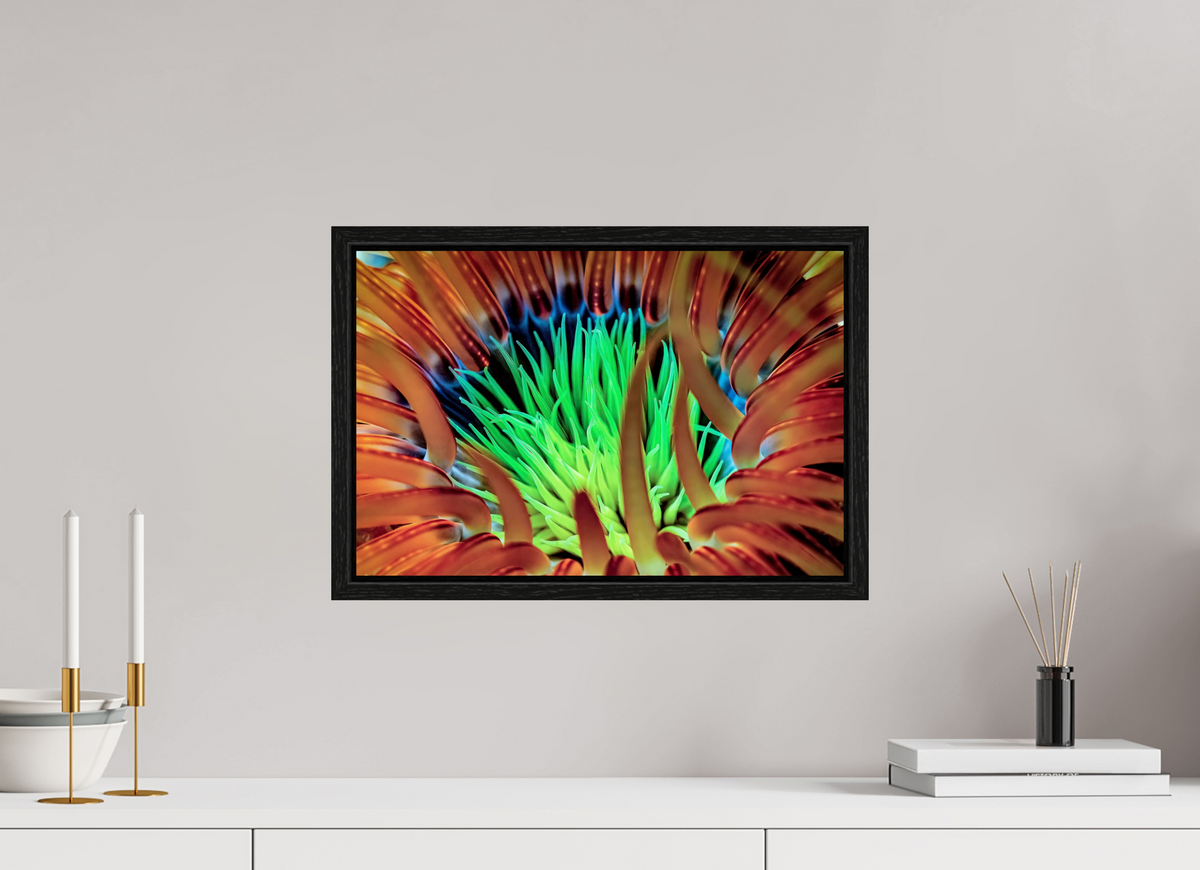45 x 30 cm, Floater Frame United colors
