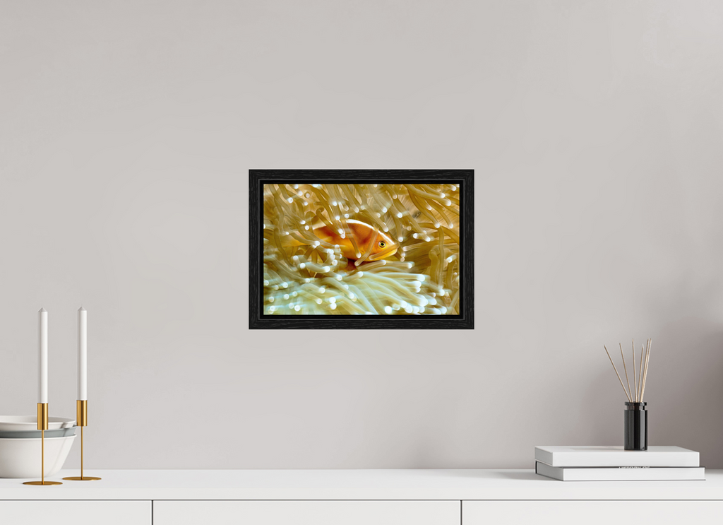 30 x 20 cm, Floater Frame Home