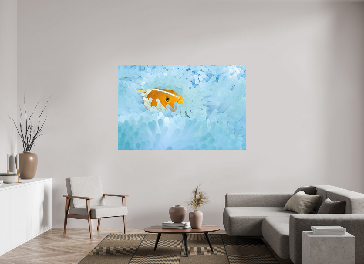 180 x 120 cm, Photo Print On Fuji Crystal DP II Bleaching
