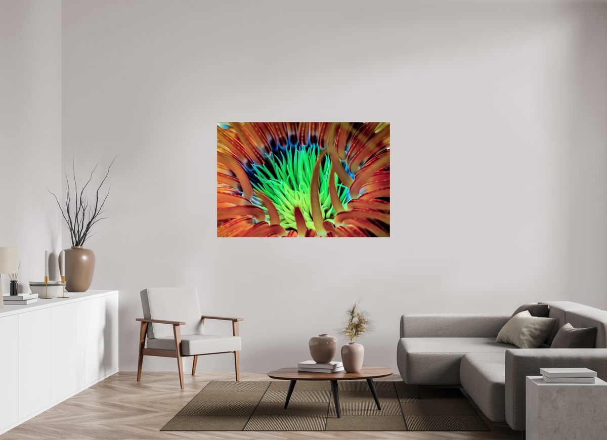 150 x 100 cm, Photo Print On Fuji Crystal DP II United colors