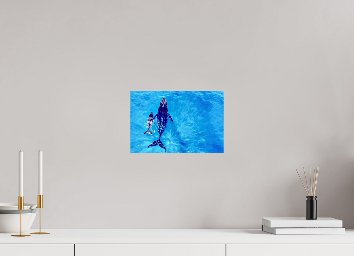 30 x 20 cm, Photo Print On Fuji Crystal DP II A bond in blue