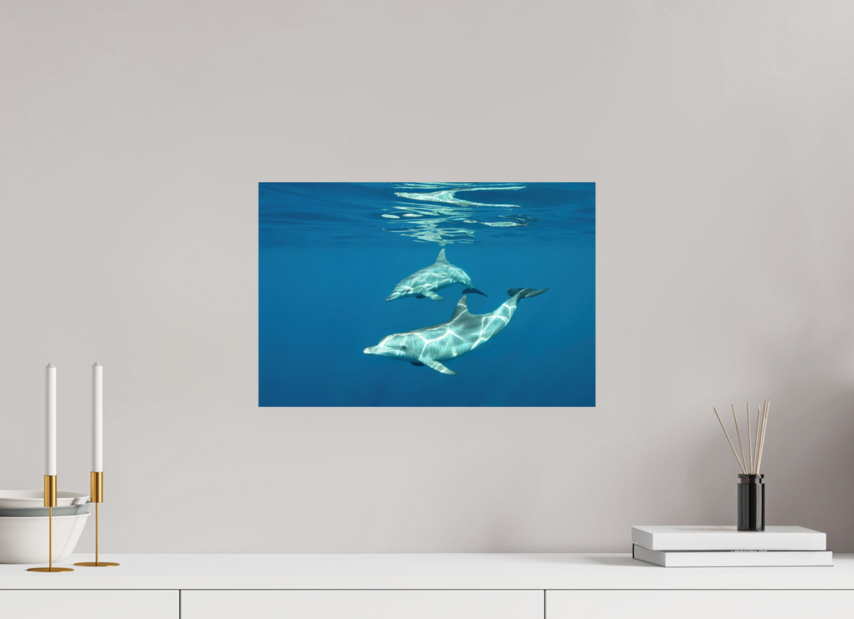 45 x 30 cm, Photo Print On Fuji Crystal DP II Presentation