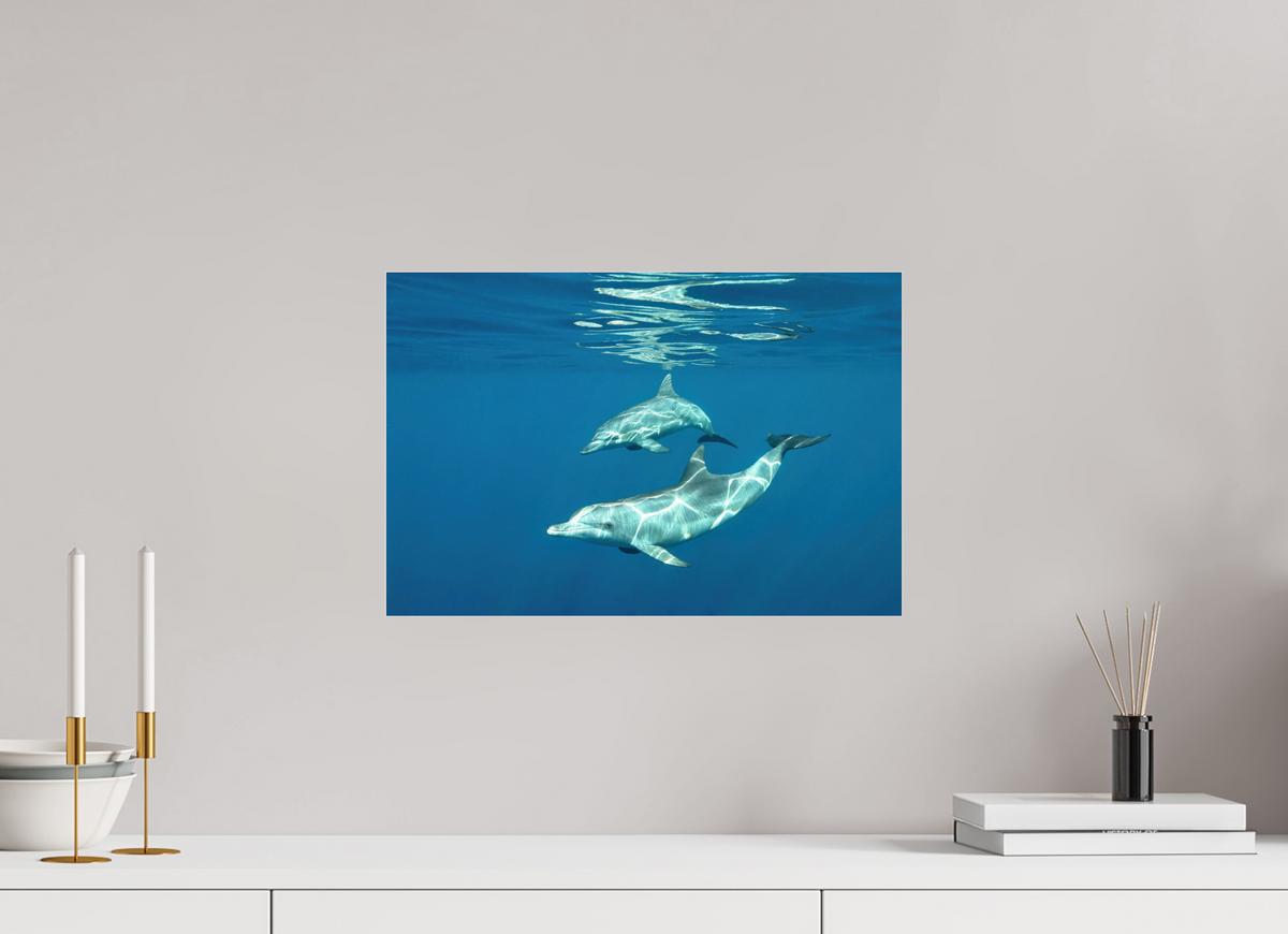 45 x 30 cm, Photo Print Under Acrylic Glass Presentation