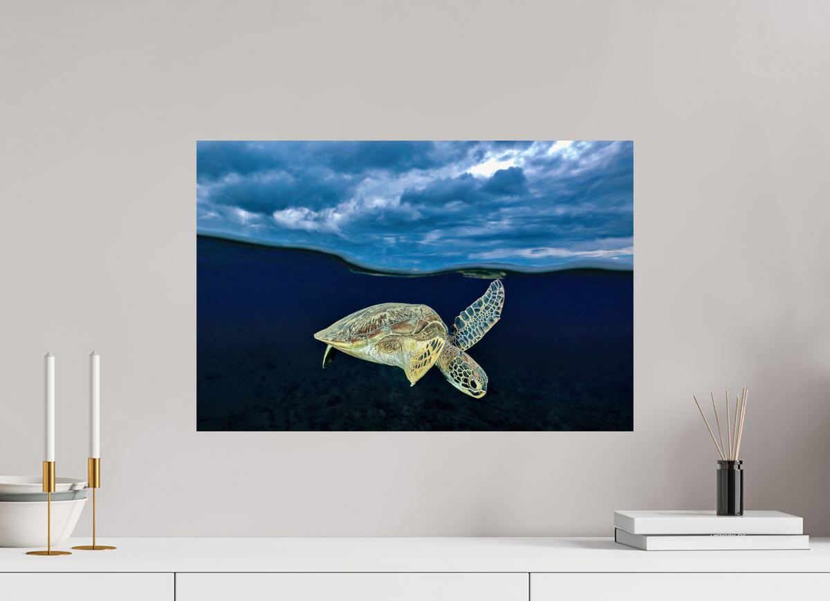 60 x 40 cm, Photo Print On Fuji Crystal DP II Surface