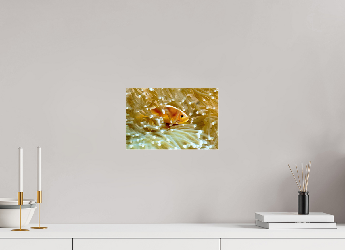 30 x 20 cm, Photo Print Under Acrylic Glass Home