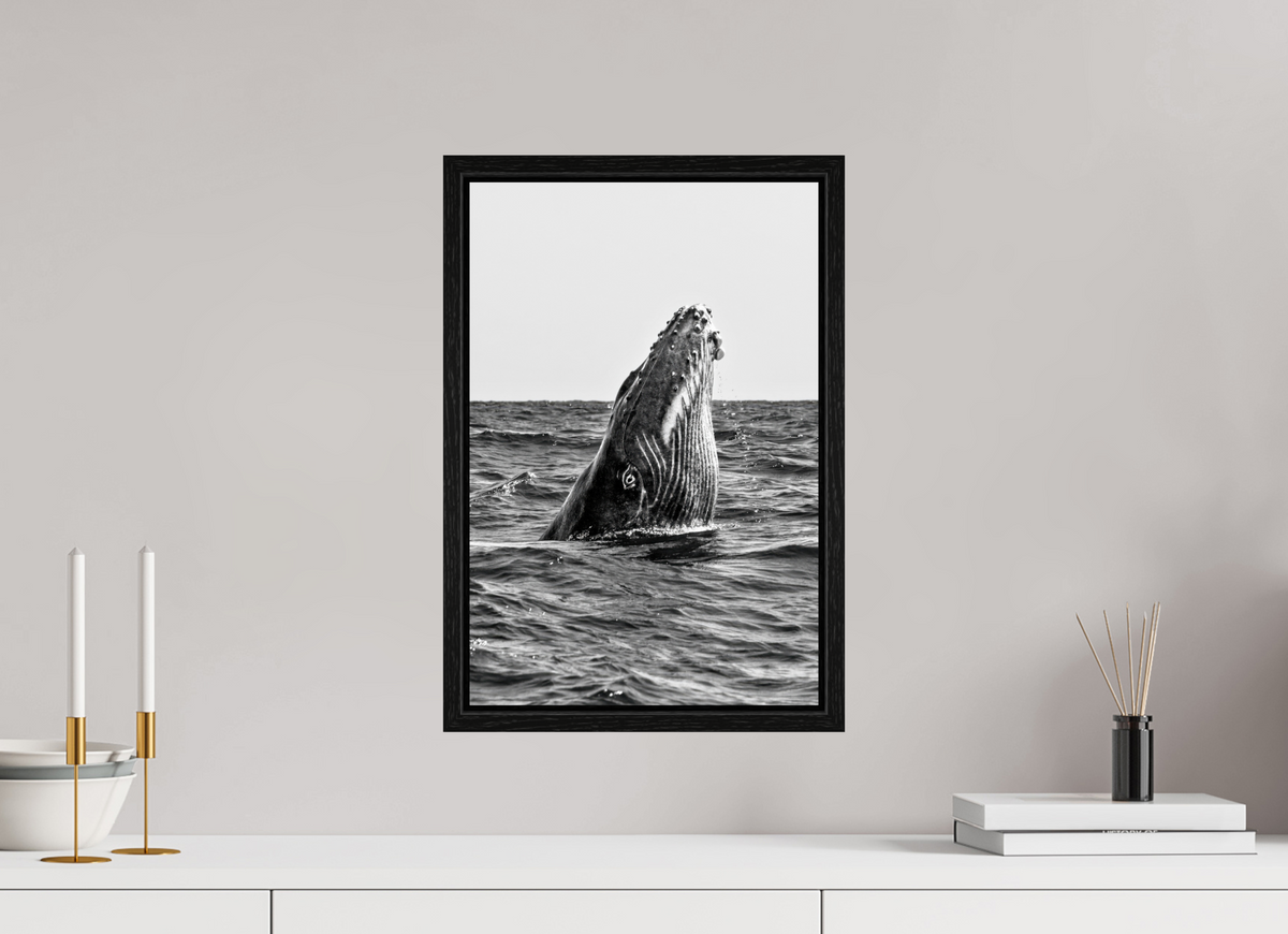 30 x 45 cm, Floater Frame ICU