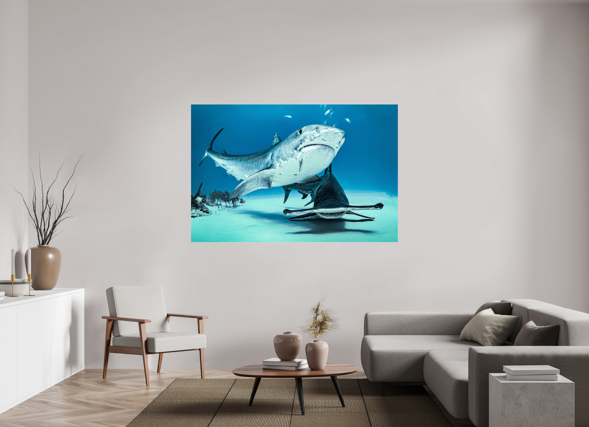 180 x 120 cm, Photo Print Under Acrylic Glass Two queens for a Kingdom