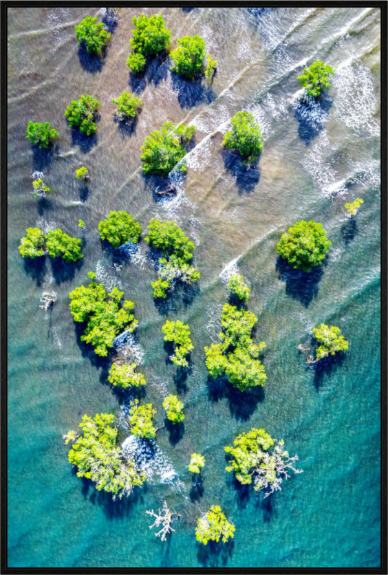 Main image Roots of the Tide