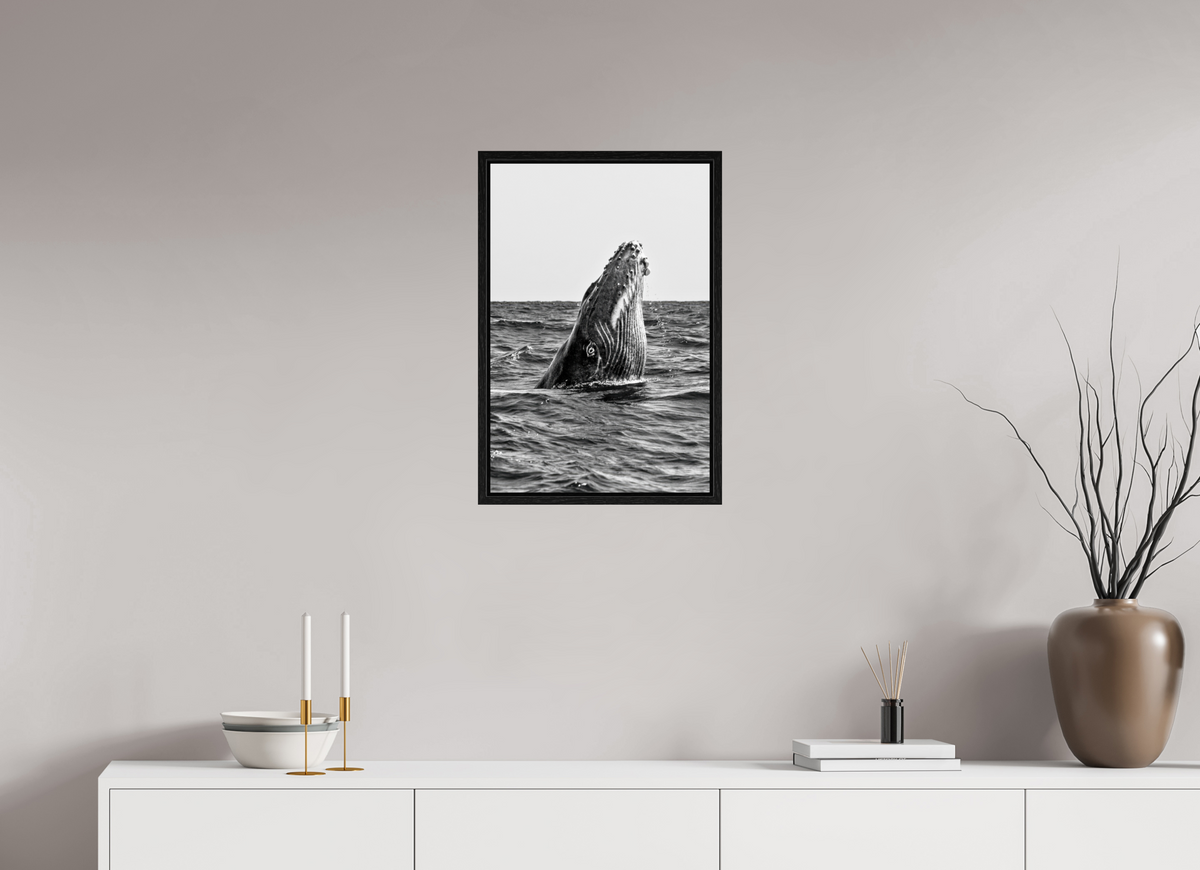 40 x 60 cm, Floater Frame ICU