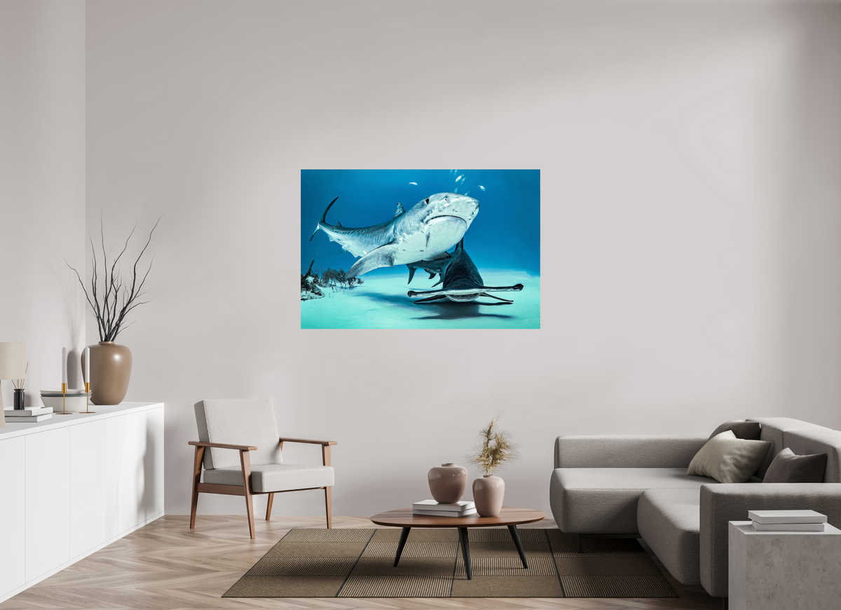 150 x 100 cm, Photo Print On Fuji Crystal DP II Two queens for a Kingdom